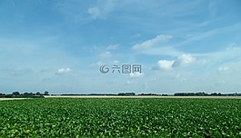 丹麥,字段,太陽