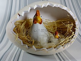 復活節(jié),鳥巢,雞
