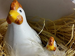 復活節(jié),鳥巢,雞