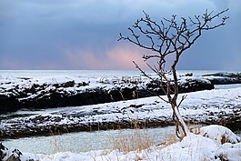 雪,冬天,白