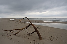 海滩,科,寂寞