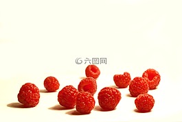 覆盆子,漿果,食品