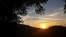 日出,太陽,森林