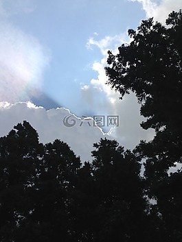 陽光,天空,云