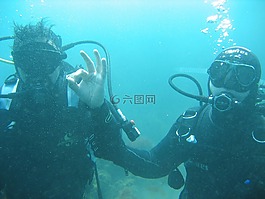潛水,體育,水生
