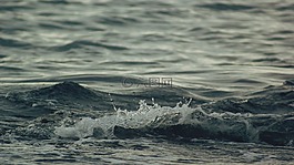 水,海,自然