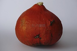 南瓜,蔬菜,秋天的動(dòng)機(jī)