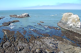 俄勒岡,太平洋,海洋
