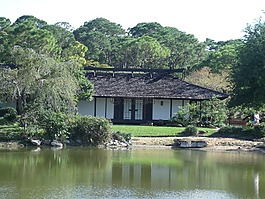 日本,湖,東方