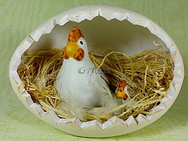 復活節(jié),母雞,雞