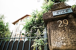 門,綠色,植物