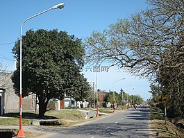 路线,阿沃莱达,电力杆