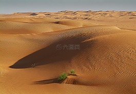 突尼斯,撒哈拉,沙漠