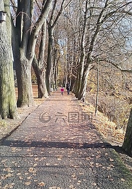書(shū)架,公園,胡同