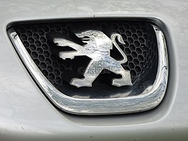 标致,自动,汽车