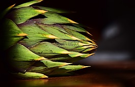 朝鮮薊,帶動(dòng),指出