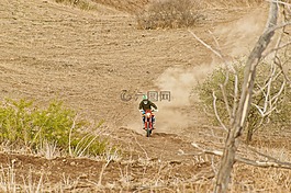 越野摩托車,森林,男子