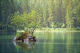 水域,性质,湖