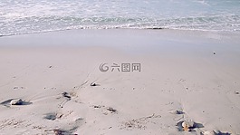 海灘,海,海洋