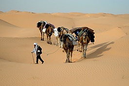 突尼斯,大篷車,沙漠