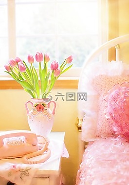 郁金香,粉红色,床