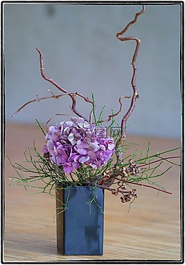 插花,花,紫