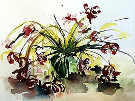 花,水彩,春