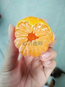 橙色,水果,甜