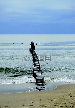 防波堤,波羅的海,海濱