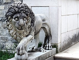 獅子,雕像,石