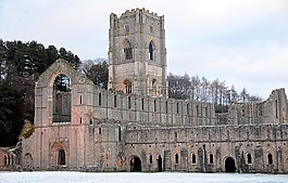 喷泉,阿比,cistercian