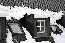 冬天,雪,寒冬