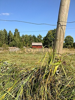 hässjning,晾衣架,干草