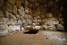 細胞,監(jiān)獄,頭骨
