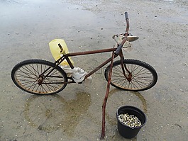 海灘,自行車,海洋