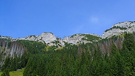 冬奧會(huì),山,景觀
