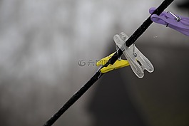 戶外,業(yè),波蘭