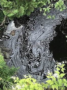 伍茲,水,溪