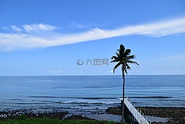 大海,椰子樹,藍天