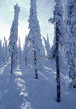 山,雪,冬天