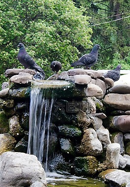 性質(zhì),石頭,園林石