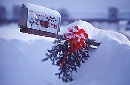 雪,冬天,紅色