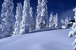 雪,冬天,冷
