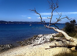 海,假期,海灘