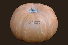南瓜,蔬菜,橙色