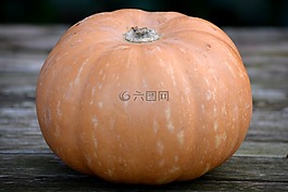 南瓜,蔬菜,秋季