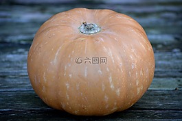 南瓜,秋季,橙色
