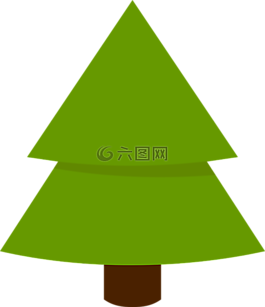 杉木,圣誕樹,圣誕節(jié)