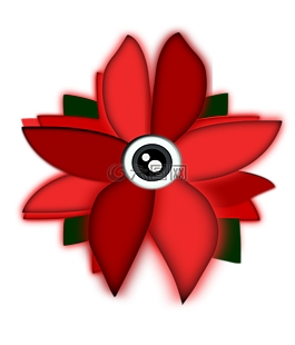 鮮花,眼,花卉