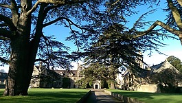 國家,莊園,房地產(chǎn)